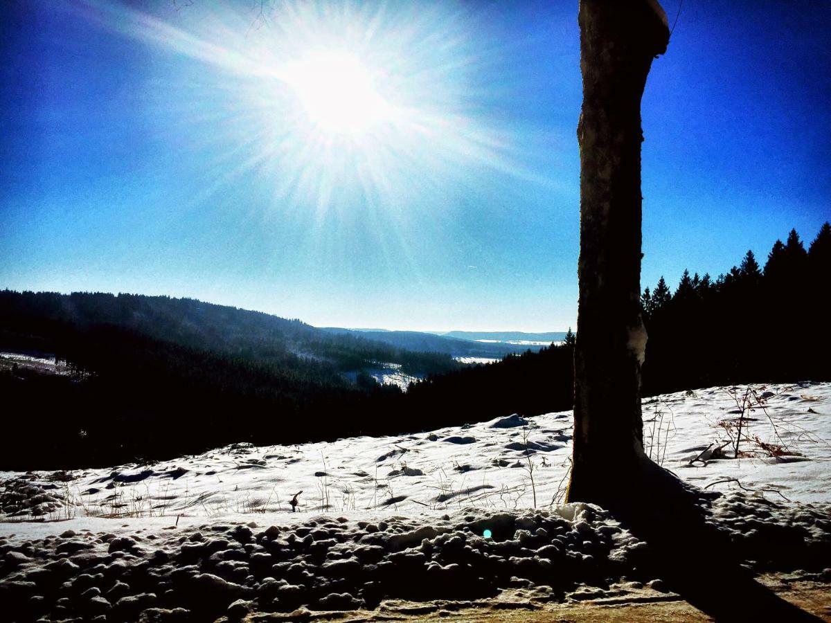 La Reposee Du Lac Apartment Vielsalm Bagian luar foto